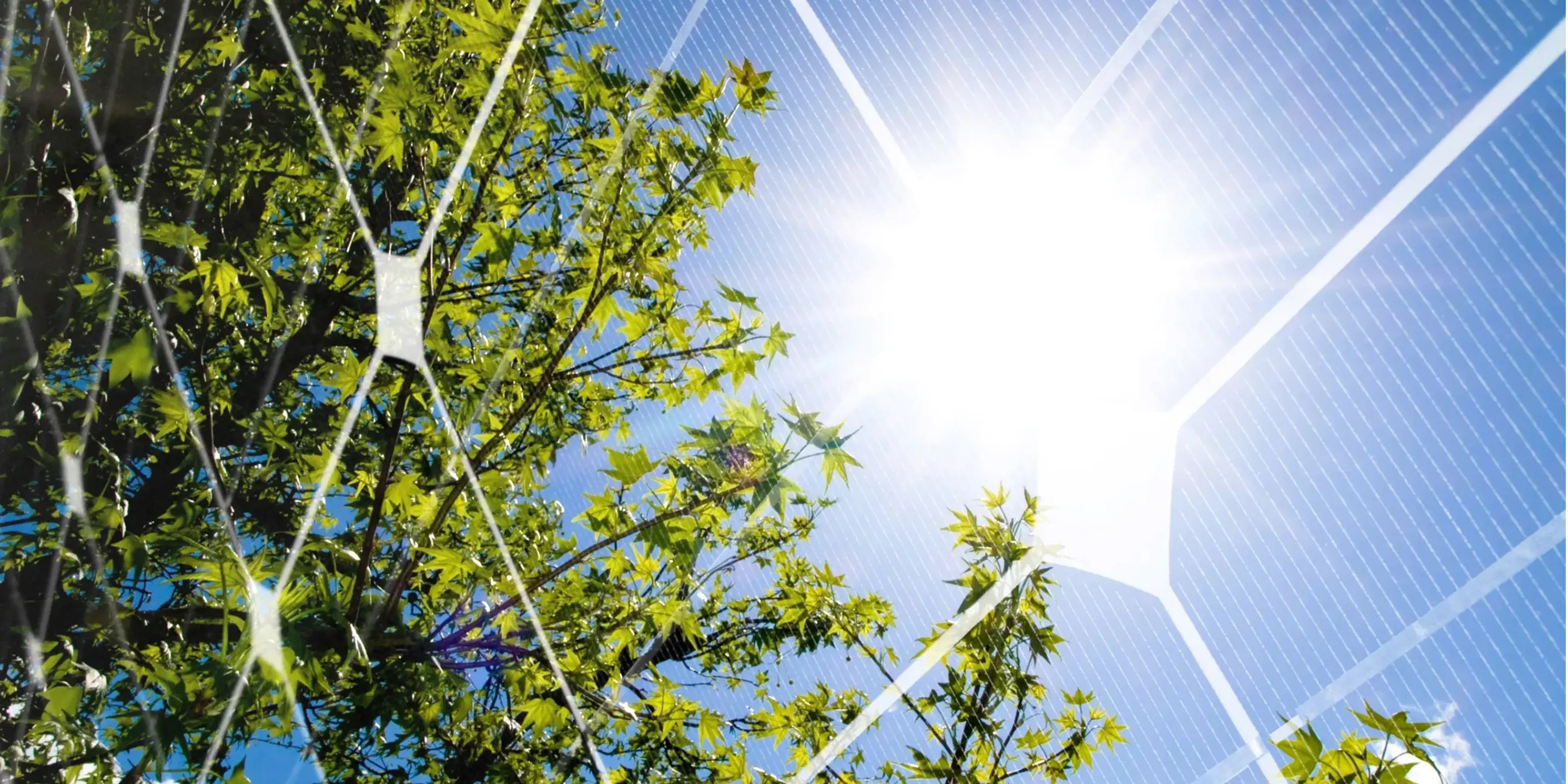 Gröna träd reflekteras på solceller i närbild.