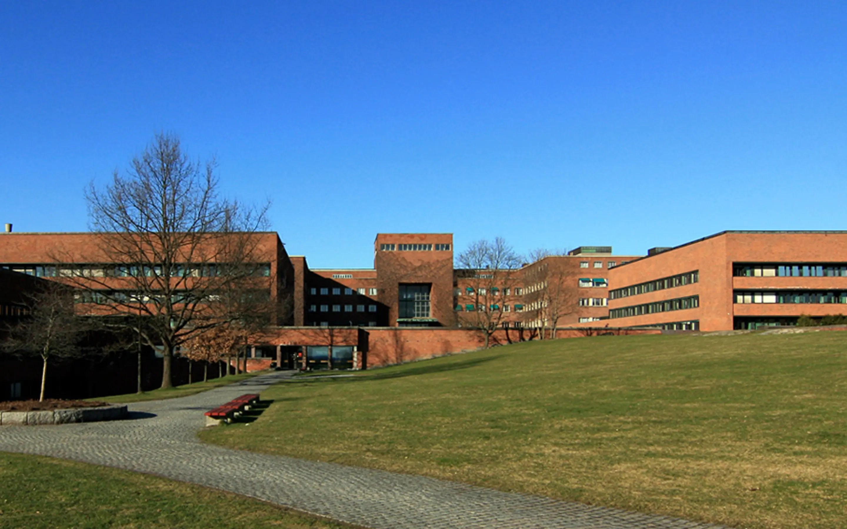 Bilde av universitetsbygninger på Blindern.