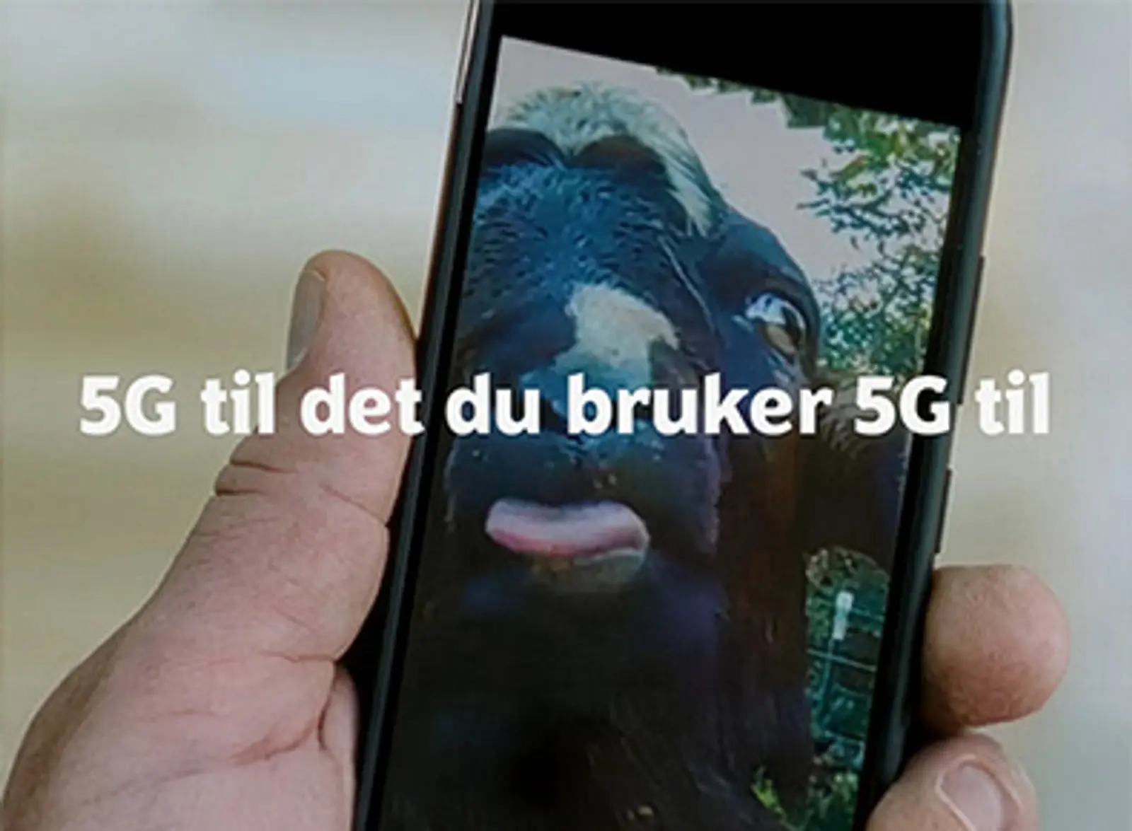 5G til det du bruker 5G til står skrevet over en mobil som spiller av en geitevideo.