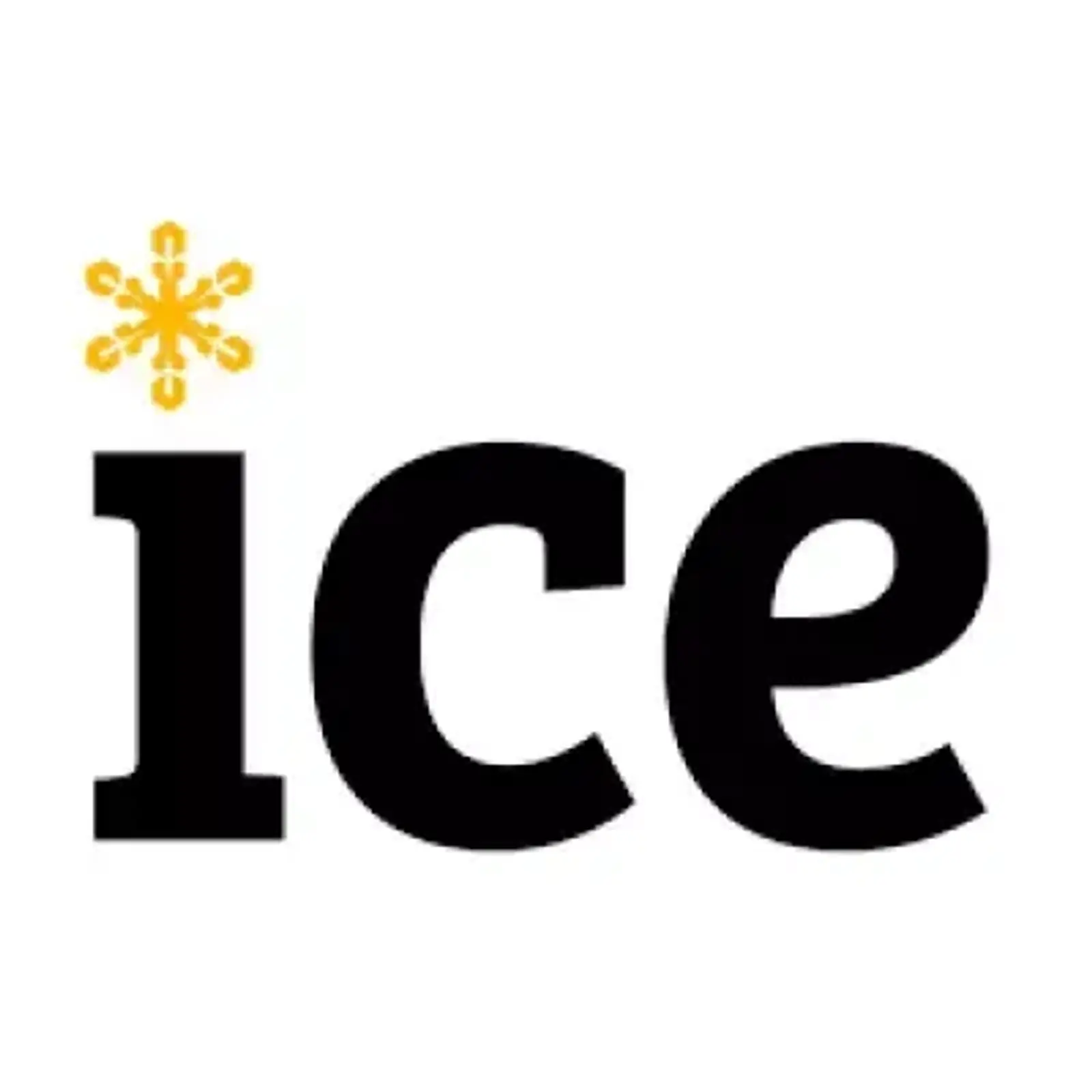 Ice Logo