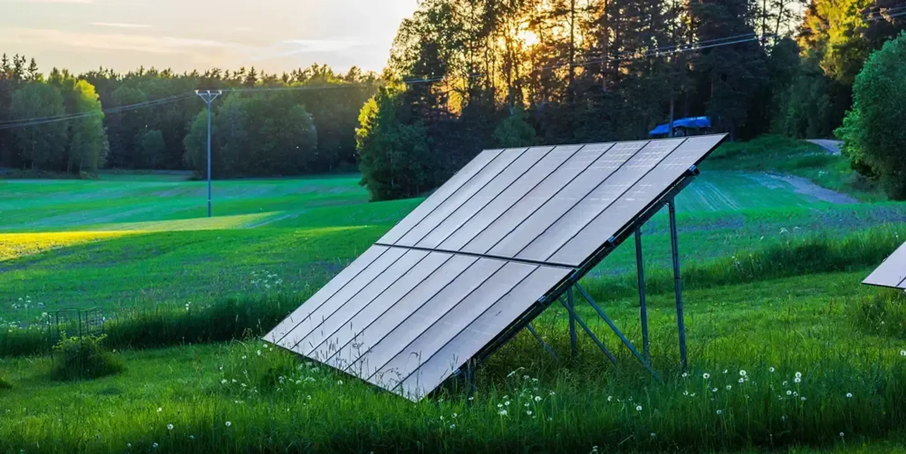 Solpaneler monterade på en lutande ställning i ett gräsfält med träd och solnedgång i bakgrunden.
