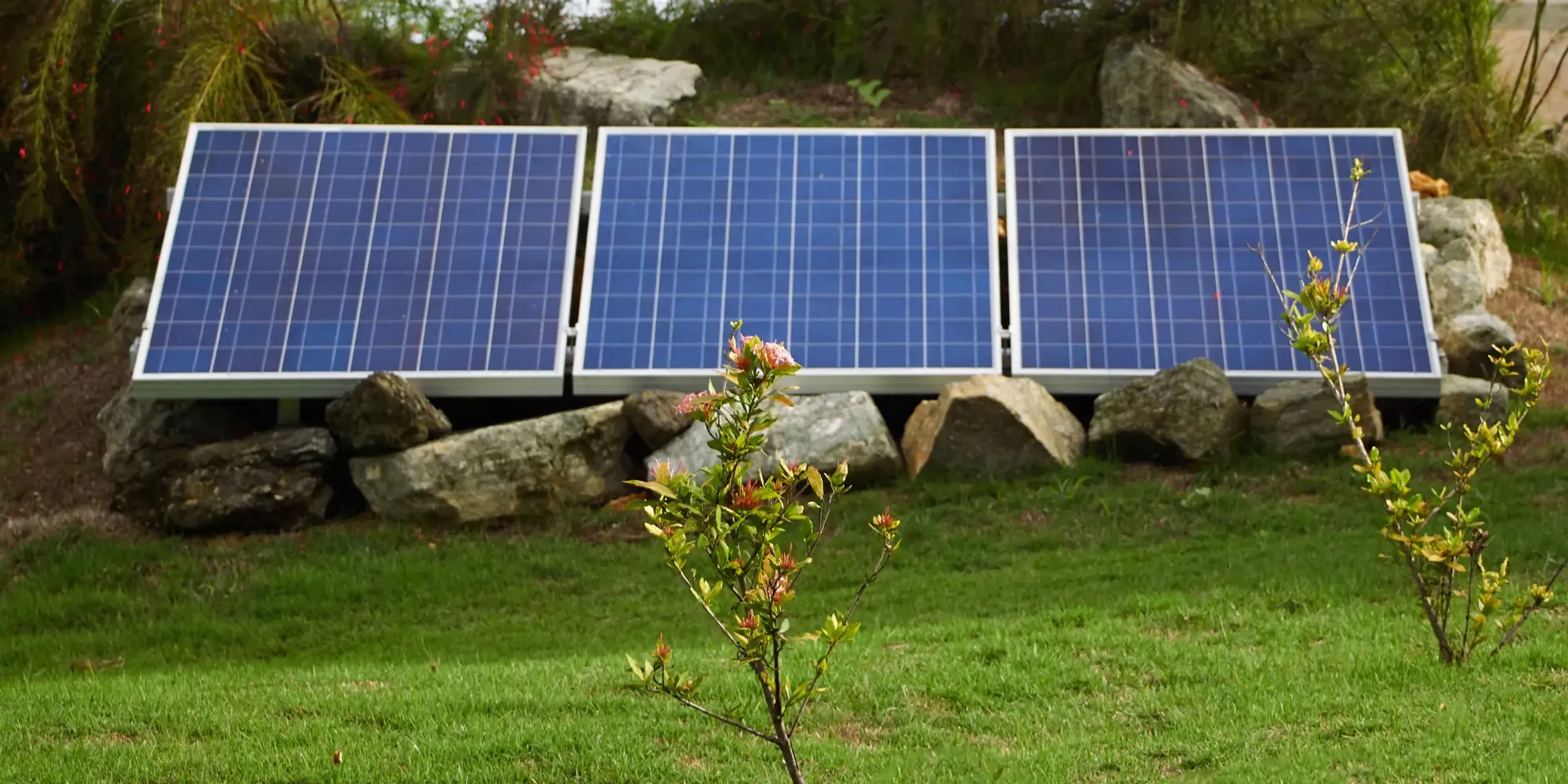 Solceller monteret på et stativ på jorden i en have