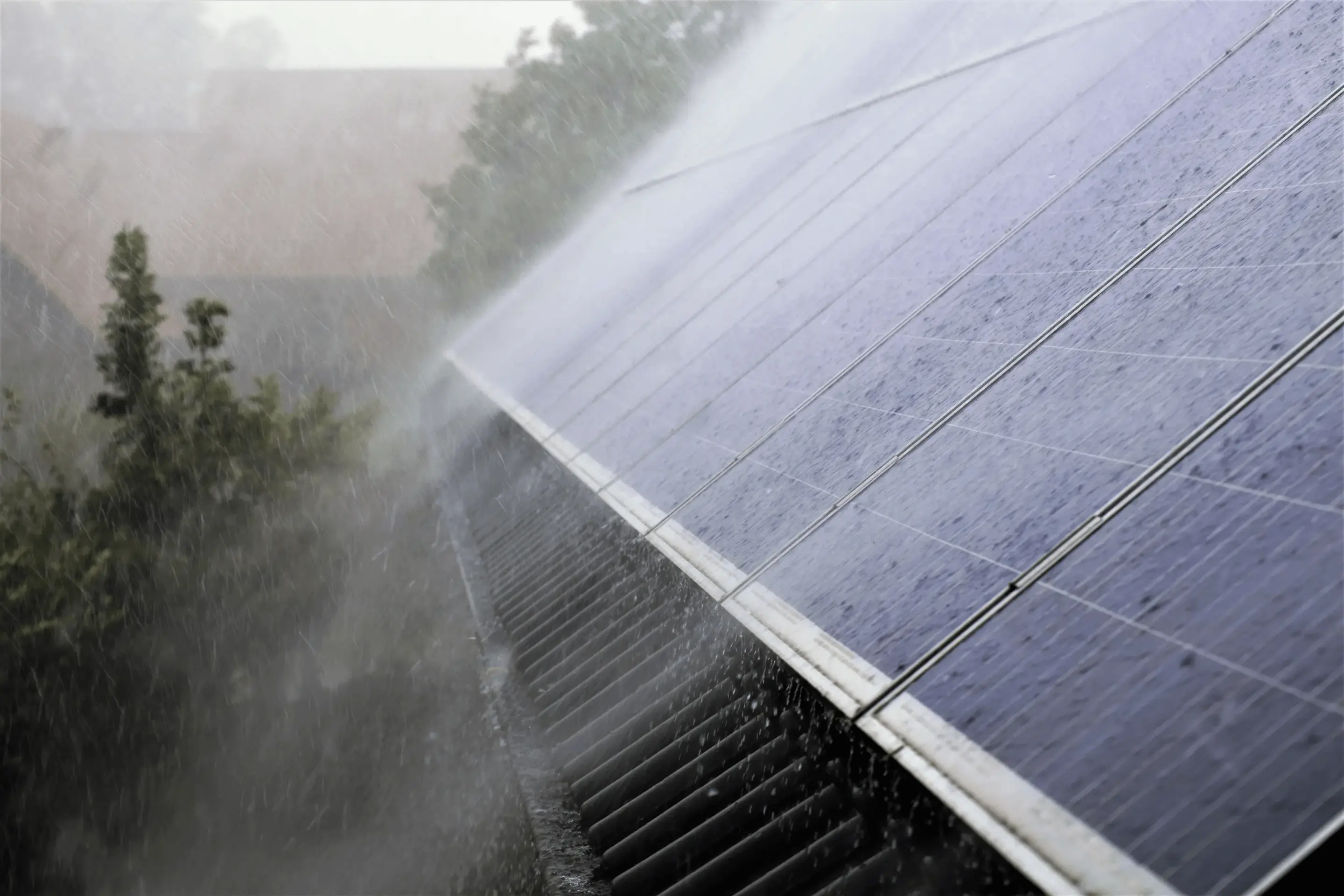 Regn spolar bort smuts från solceller på ett villatak.