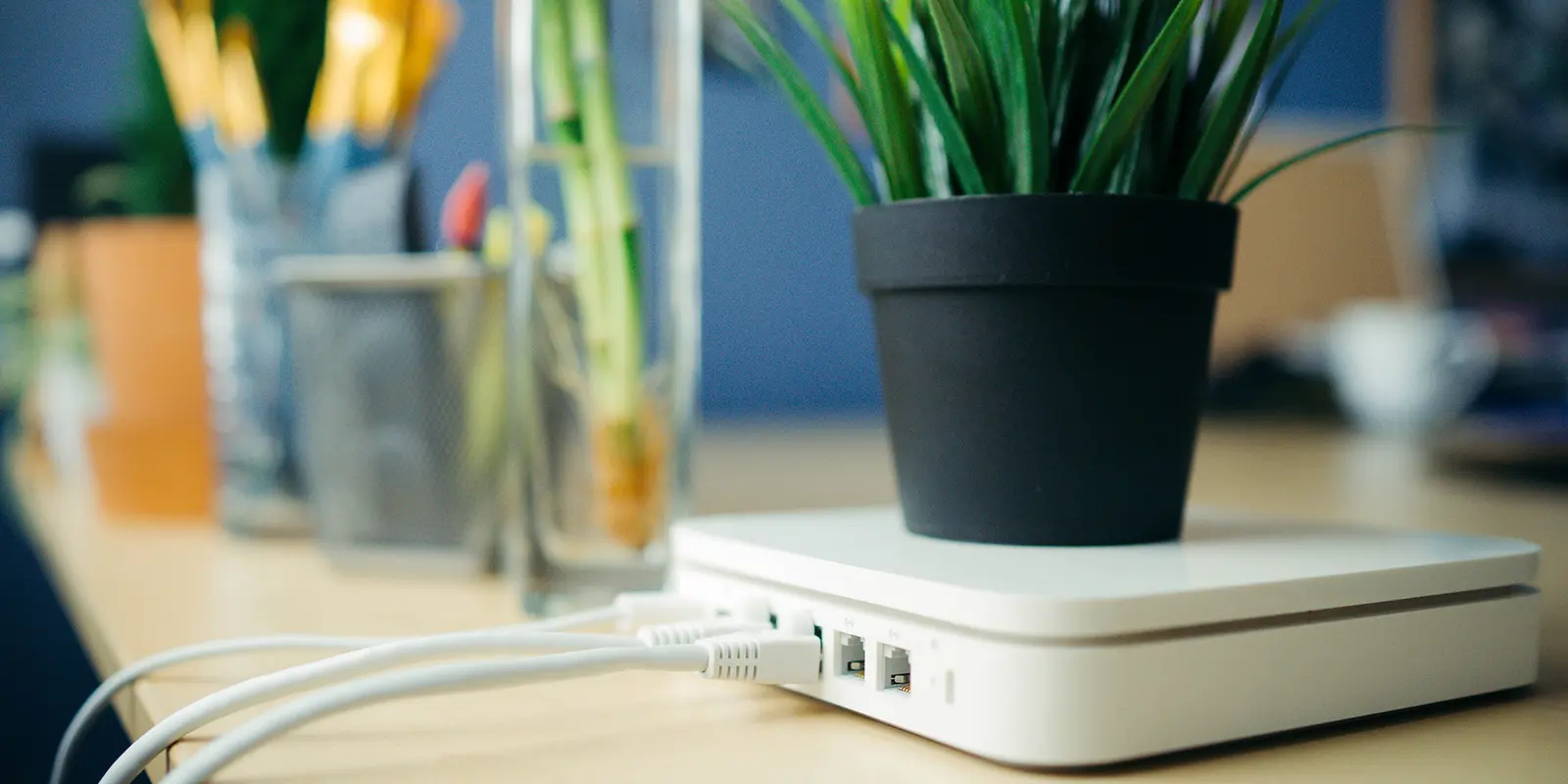 Bilde av en router med en grønn plante på toppen.