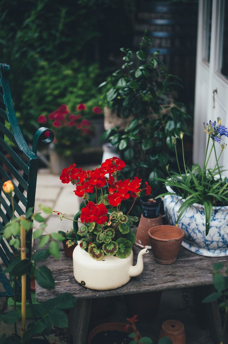 blomster-i-hage