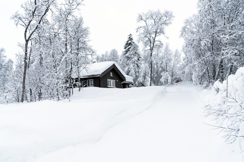 Snølandskap med hytte