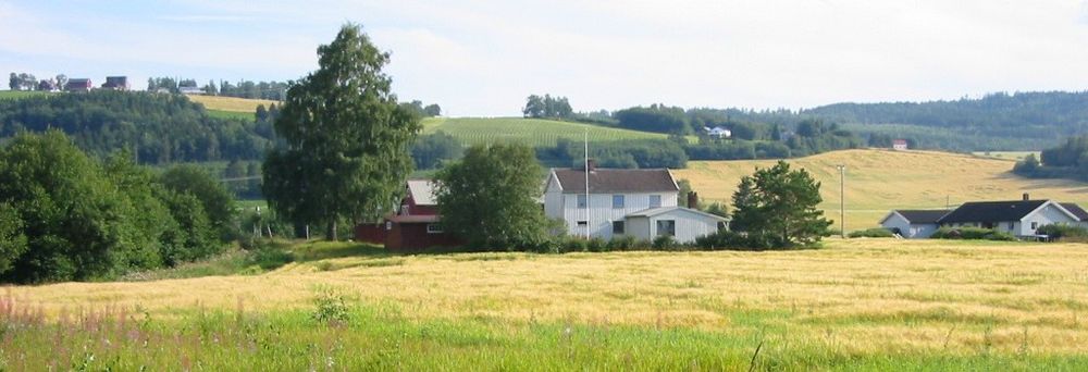 Eiendomsmegler Verdal