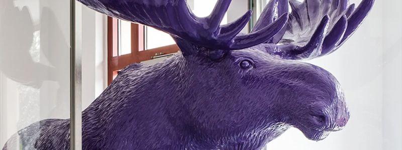 En lila älg på kontoret hos mäklarbyrån MOHV Halmstad.