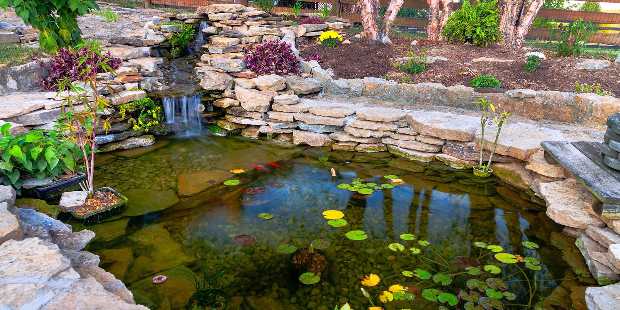 Bilde av en hagedam.