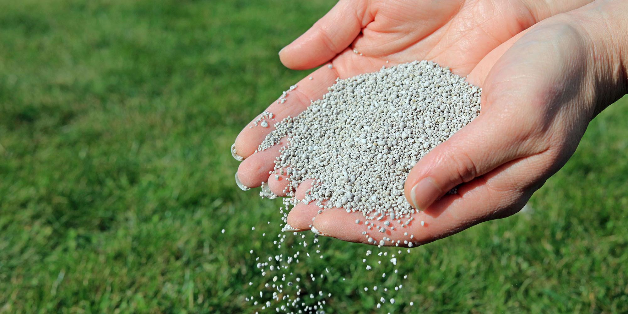 Gjødsle Plen Høst: Optimal Pleie for en Frodig Plen () Gjødsle Plen Høst: Optimal Pleie for en Frodig Plen
