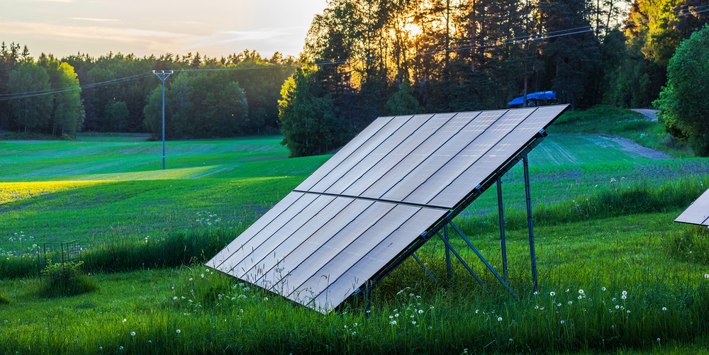 Mycket plats på tomten? Montera solceller på marken och börja producera din egen el! Markmonterade solceller står på en grön äng. Bakom syns skog där kvällssolen lyser genom träden och skapar ett varmt sken.