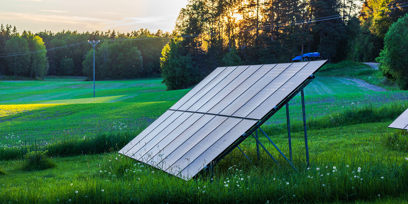 Solceller på marken.
