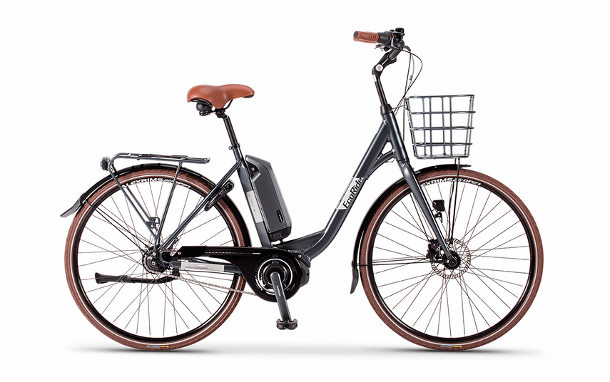 Ecoride Sense