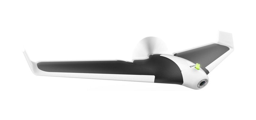 Parrot Disco