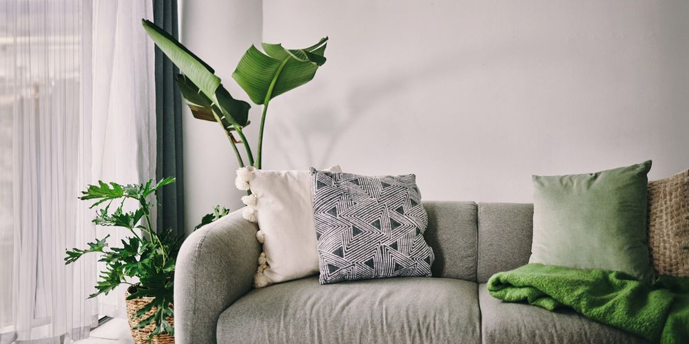 En grå soffa med dekorationskuddar och gröna växter bredvid.