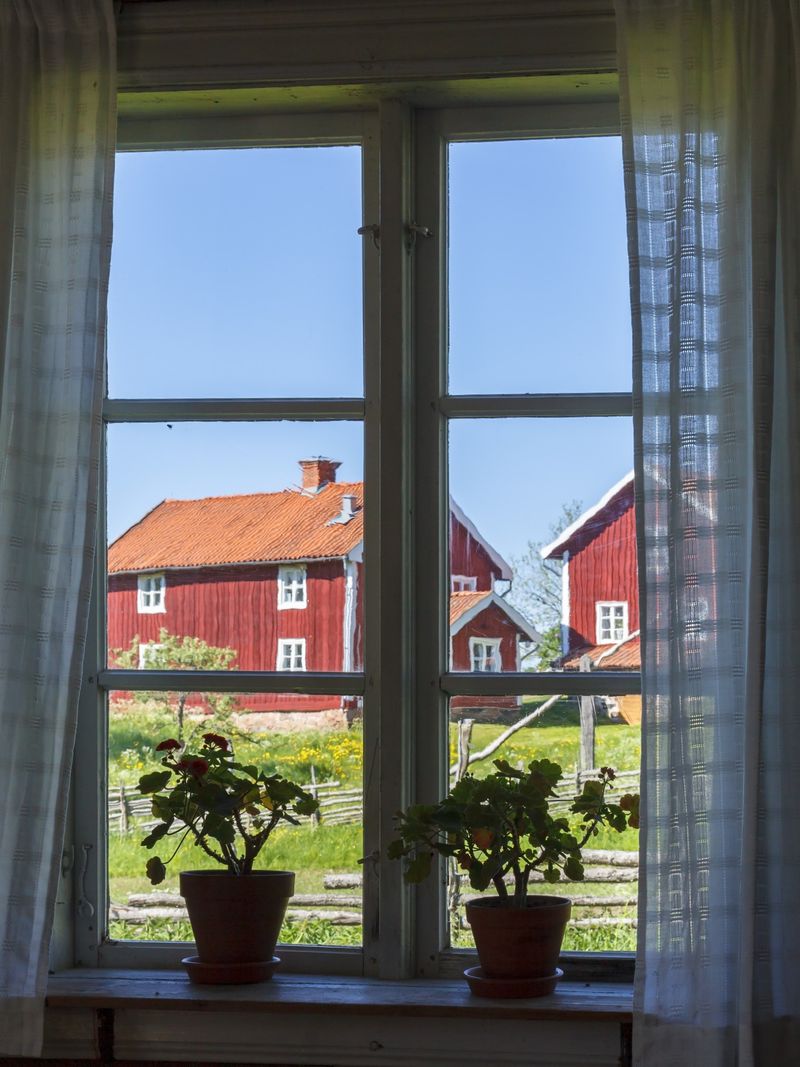 Utsikten ur ett fönster med spröjs i en gammal stuga.