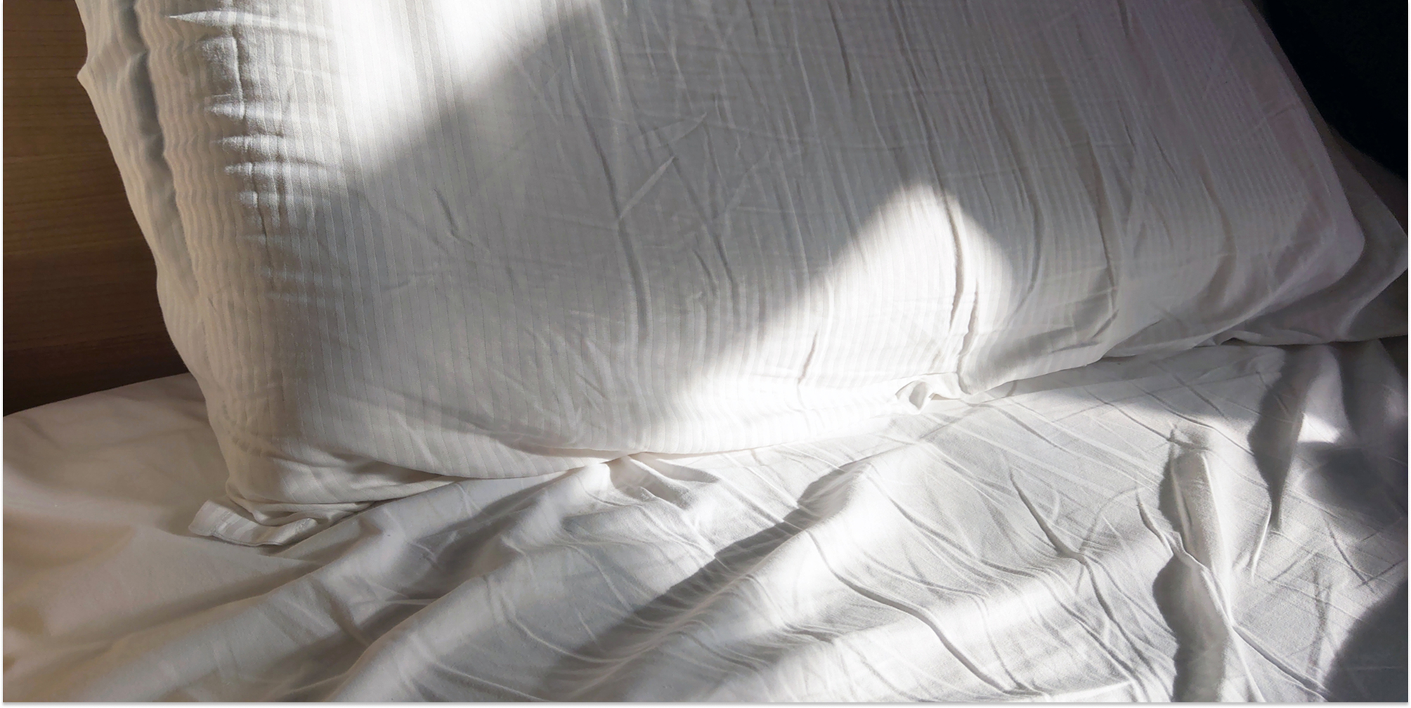 Kvalster lever av döda hudceller och trivs där det är varmt och fuktigt. Därför är det vanligt med kvalster i sängen.